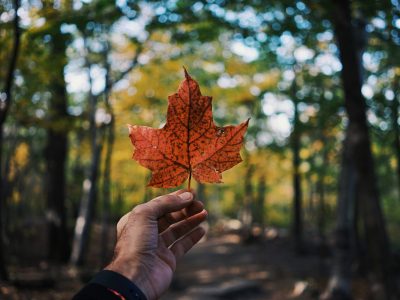 guillaume-jaillet-EIWCd0414xQ-unsplash guillaume-jaillet-EIWCd0414xQ-unsplash